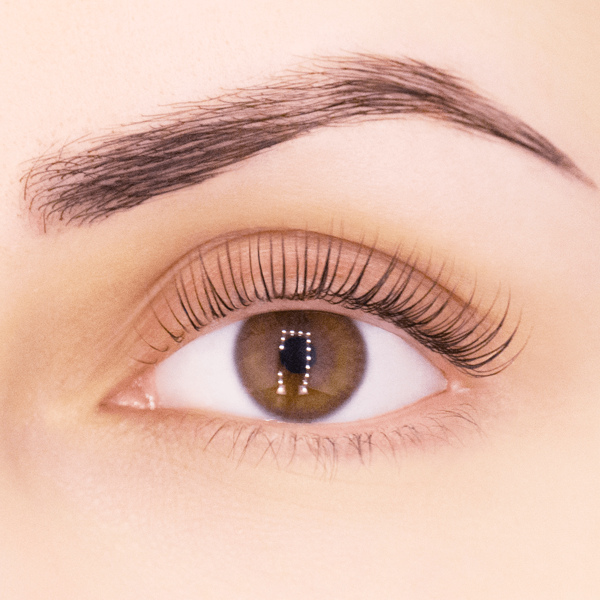 Ламинирование бровей После - The Lashes
