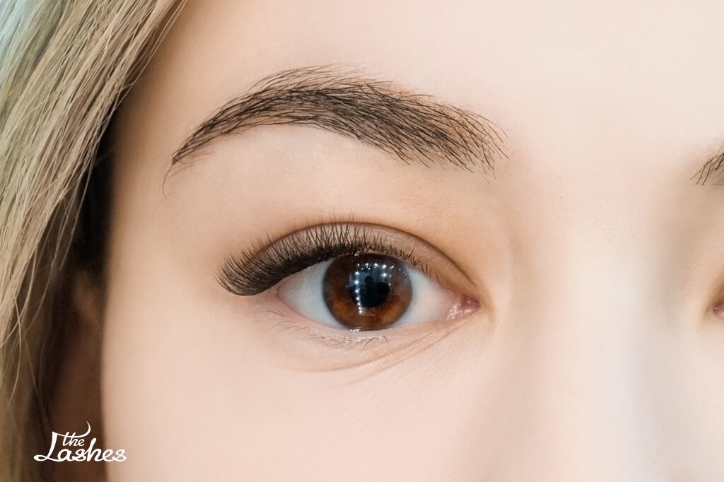 Наращивание уголков ресниц - The Lashes