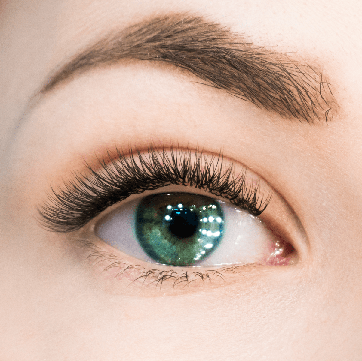 Коррекция ресниц полуторного объема - The Lashes