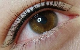 Коррекция татуажа век - The Lashes