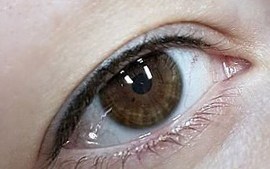 Микроблейдинг межресничного пространства веки фото - The Lashes