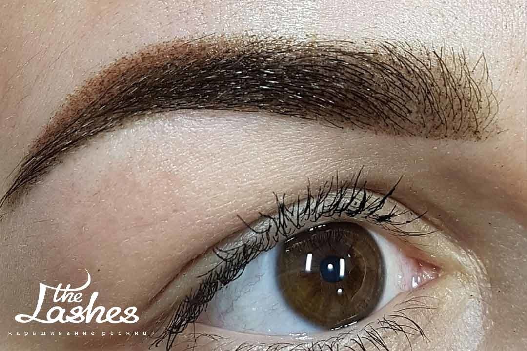 Пудровый татуаж бровей - The Lashes