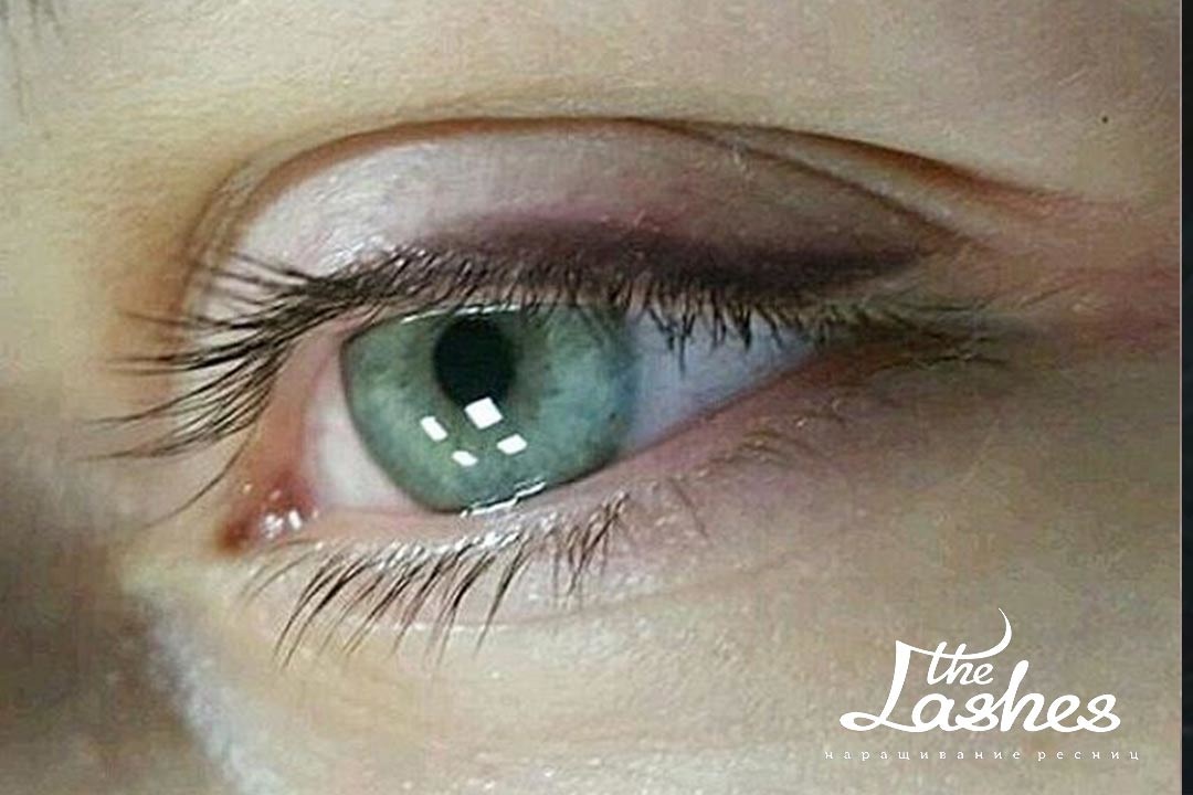Татуаж стрелки с растушевкой - The Lashes