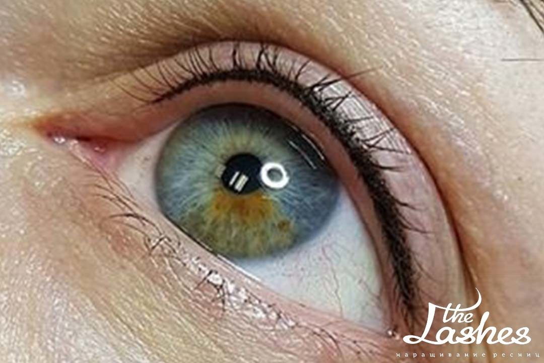 Межресничный татуаж - The Lashes